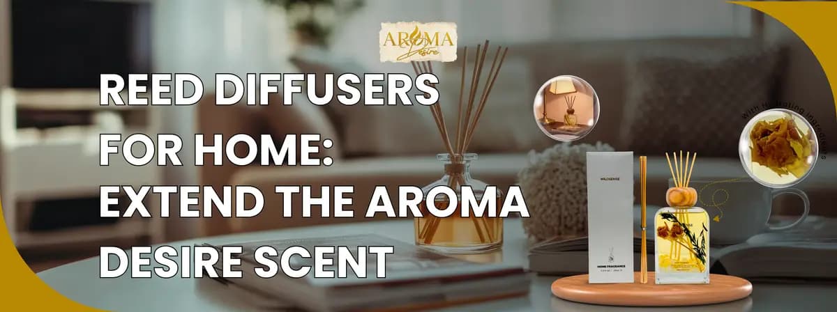 Reed Diffuser UK: Premium Home Fragrance Guide